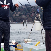 риболовни дрехи - 74305 селекции