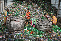 почистване на биологичен отпадък - 30780 невероятни