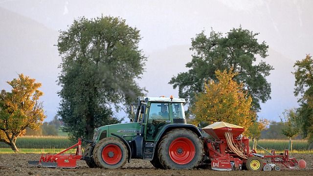 ССА - 35064 бестселъри